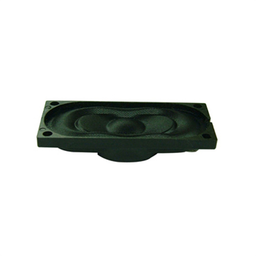 YDP1635-2 跑道形扬声器