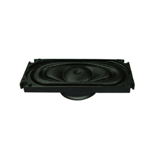 YDP1635-6A 跑道形扬声器