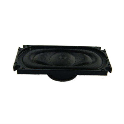 YDP1635-8 跑道形扬声器